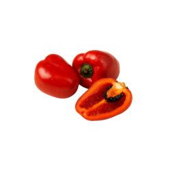 Rocoto congelé 500 g