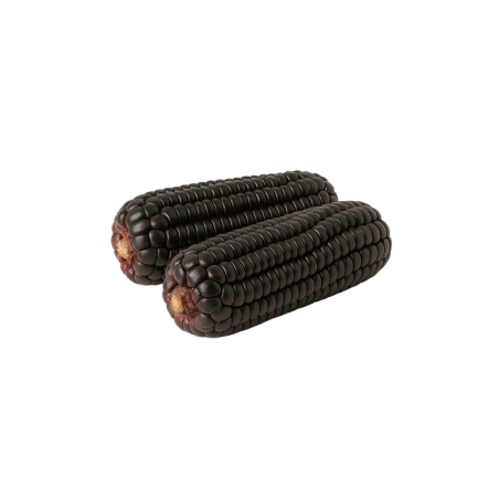 Maíz Morado 500 g