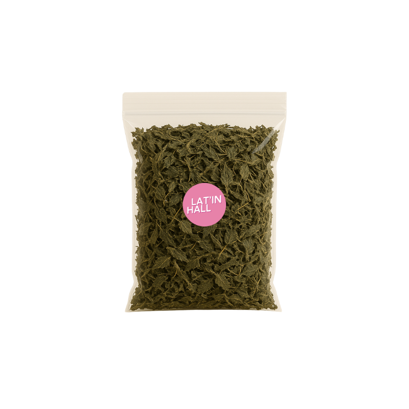 Infusion Ortie noire