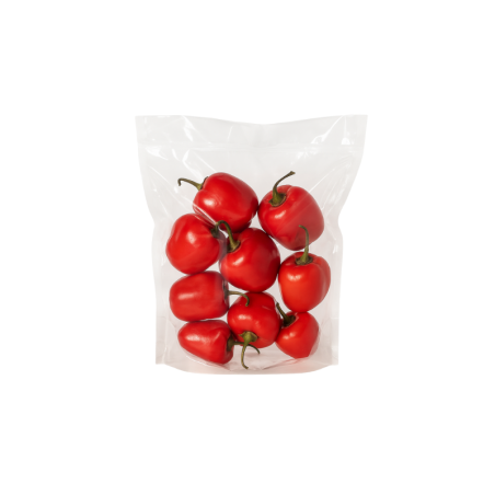 Frischer peruanischer Rocoto 500g